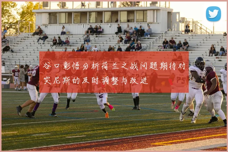谷口彰悟分析荷兰之战问题期待对突尼斯的及时调整与改进