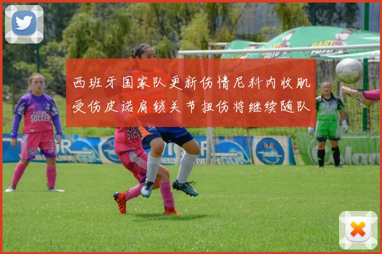 西班牙国家队更新伤情尼科内收肌受伤皮诺肩锁关节扭伤将继续随队训练